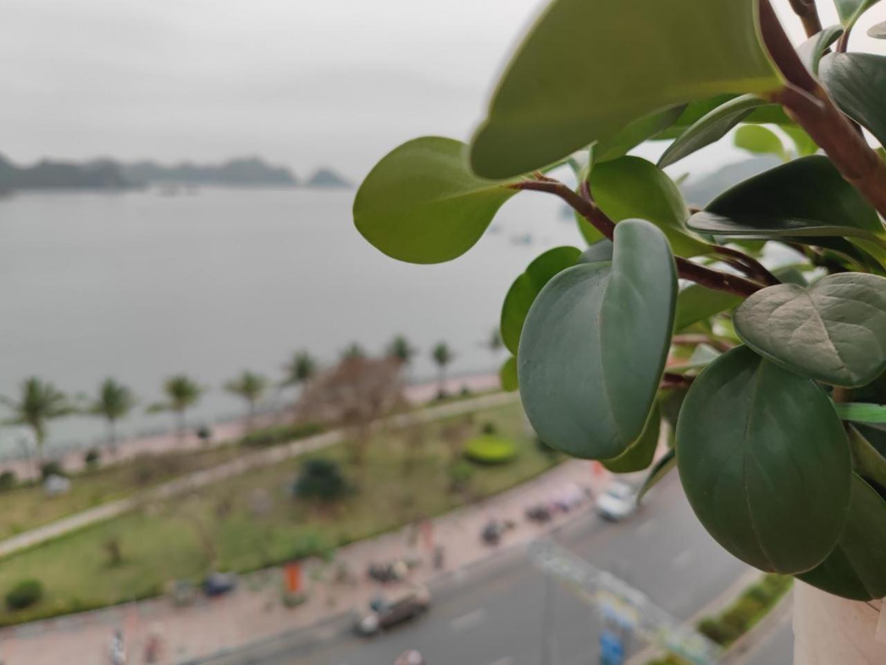 Star Hotel Cat Ba Island Dış mekan fotoğraf